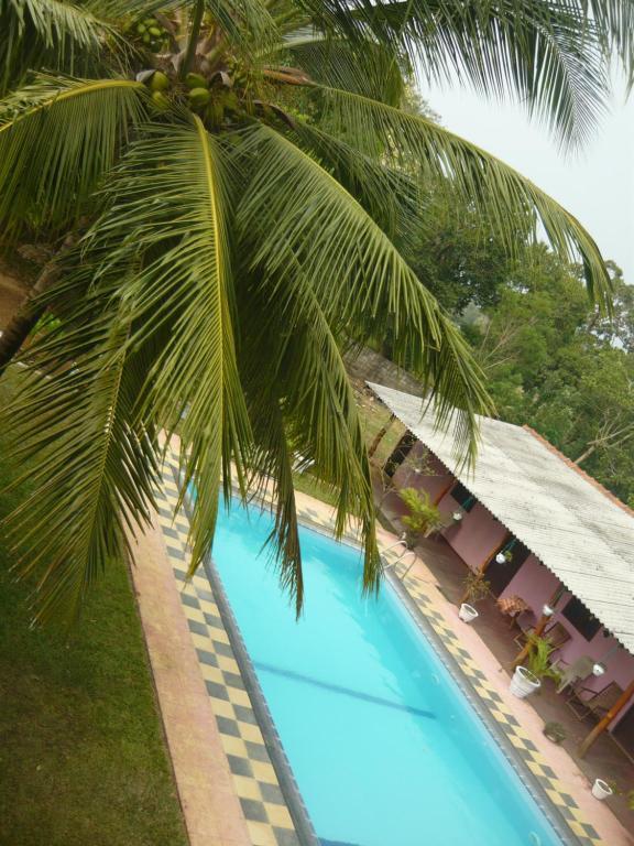 هاباران Sunrise Holiday Resort المظهر الخارجي الصورة