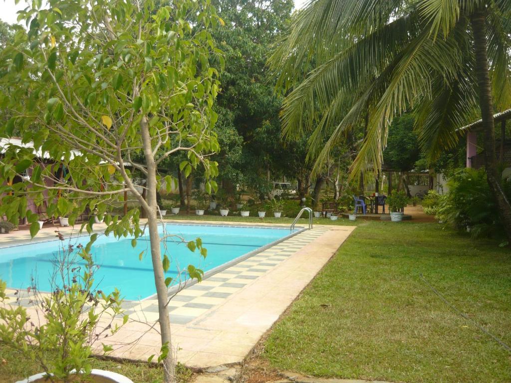 هاباران Sunrise Holiday Resort المظهر الخارجي الصورة